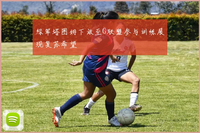 绿军塔图姆下放至G联盟参与训练展现复苏希望