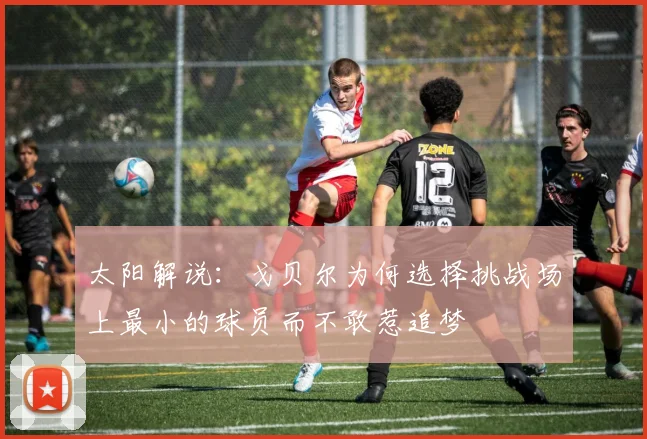 太阳解说：戈贝尔为何选择挑战场上最小的球员而不敢惹追梦